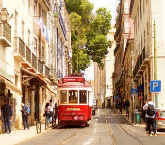 Трамваи Лиссабона