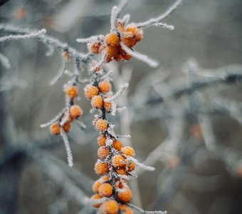 маленькие солныщки