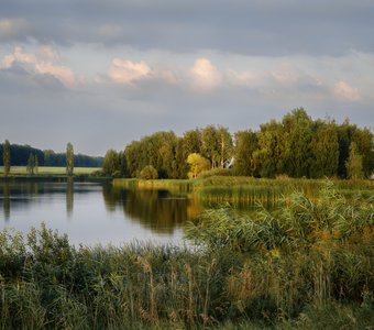 В лучах вечернего солнца