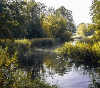 В легкой утренней дымке