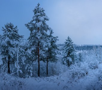 Синие сумерки