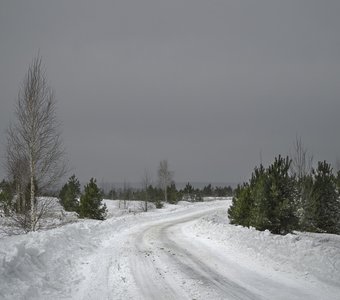 Дорога в зимнюю сказку