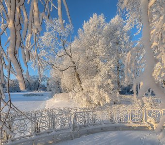 Екатерининский парк в белой глазури декабря