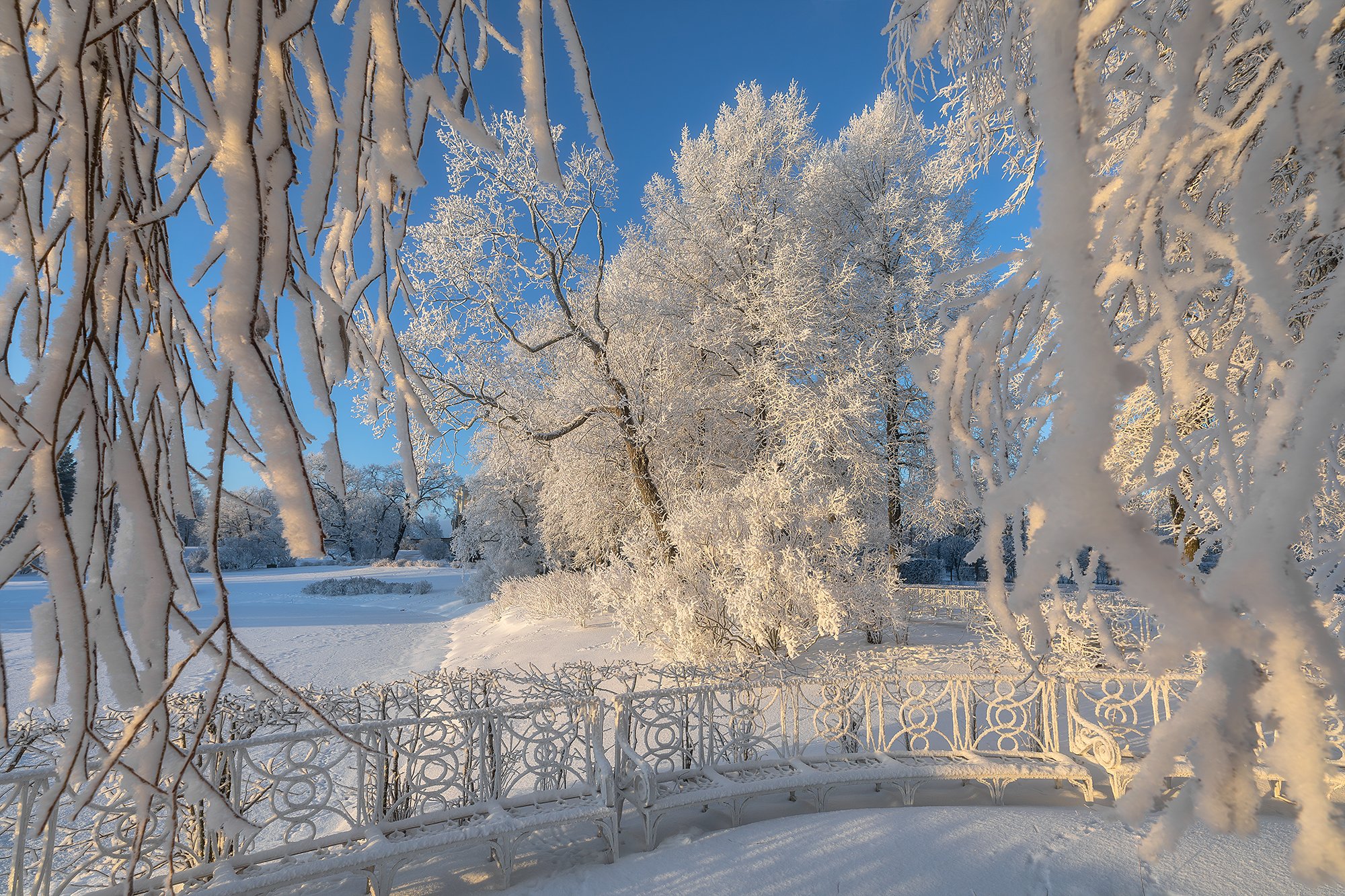 Екатерининский парк в белой глазури декабря