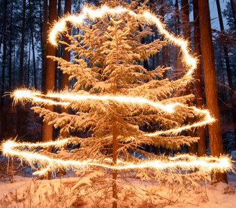 Новогоднее волшебство