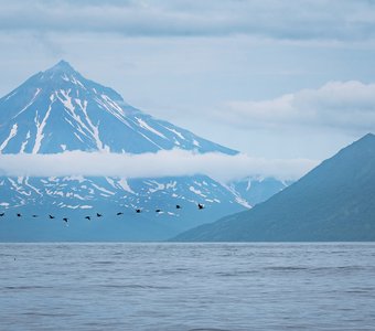 Камчатка. Июль 2022