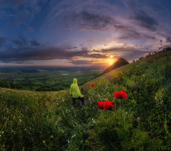 Красота спасёт МИР...