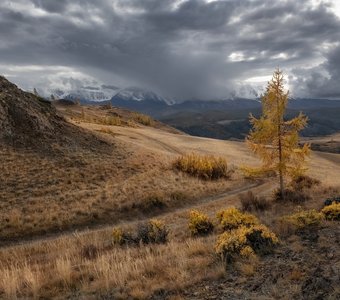 Алтайская осень