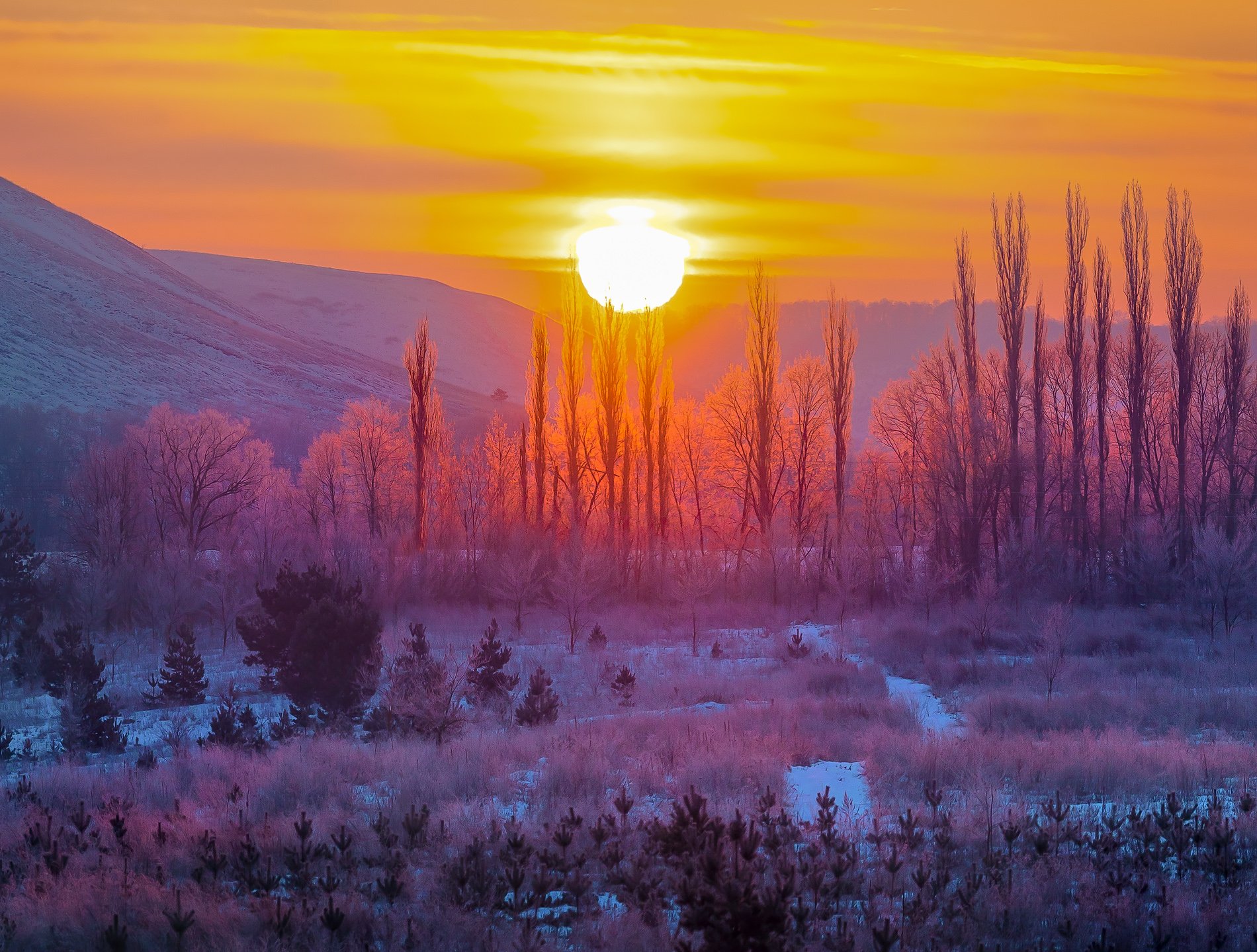 Согиницы Лашков