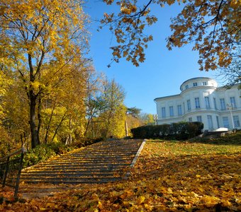 В парке Богородицка