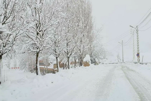 Какой бывает зима в Ливане? Все заваливает снегом