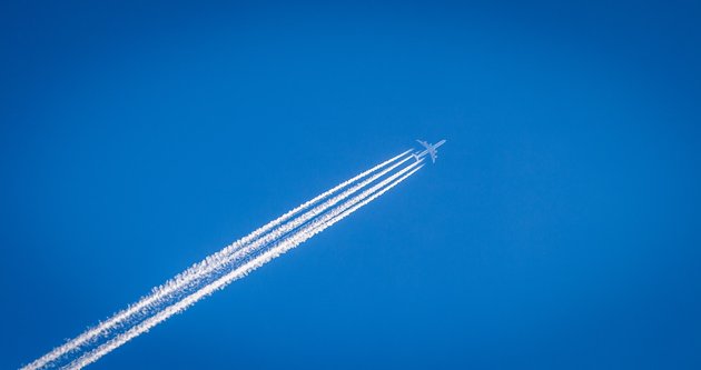 Фото: Unsplash