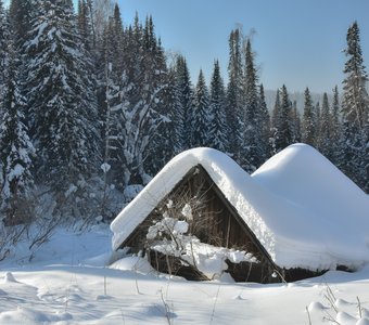 Одинокий домик в зимнему лесу