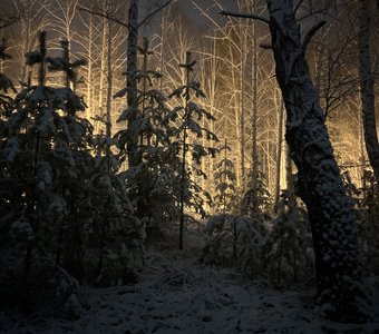 Зима в Свердловской области, начало