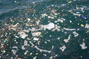 Реальные масштабы пластикового загрязнения: в Мировом океане плавает 4,9 миллиона тонн мусора