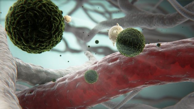 Фото: Vaccines at Sanofi / Flickr