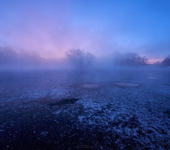 Туманный восход в дворцовом парке