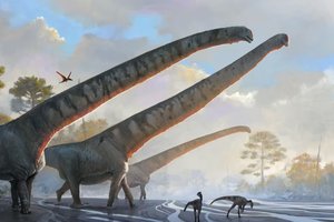 У какого динозавра была самая длинная шея?