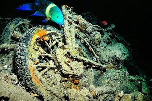 Из корабля времен Второй мировой войны получился искусственный коралловый риф