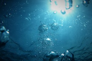 22 марта – Всемирный день воды. Как нам сохранить её на планете?