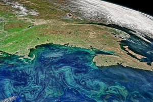 Спутниковые снимки показывают 31 миллион квадратных километров океана, занятых фитопланктоном