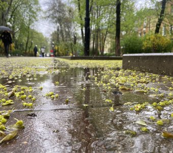 Город под дождём