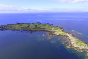 Необитаемый остров у побережья Шотландии выставлен на продажу за 190 тысяч долларов