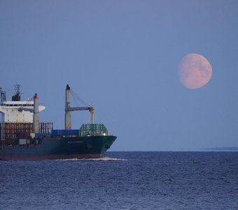 02 апреля'23. Закат Луны над Финским заливом🌔