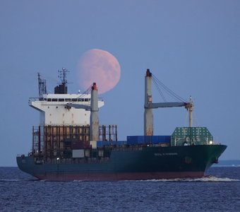 02 апреля'23. Закат Луны над Финским заливом🌔
