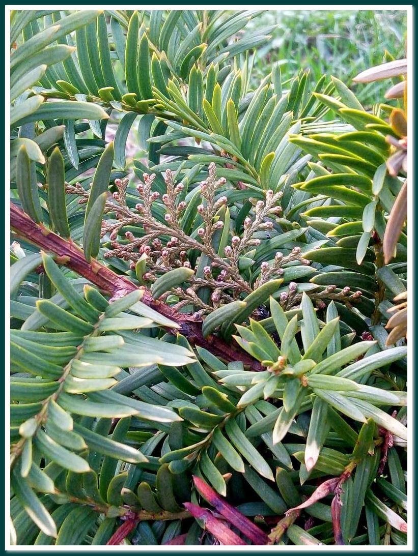 В своей стихии.