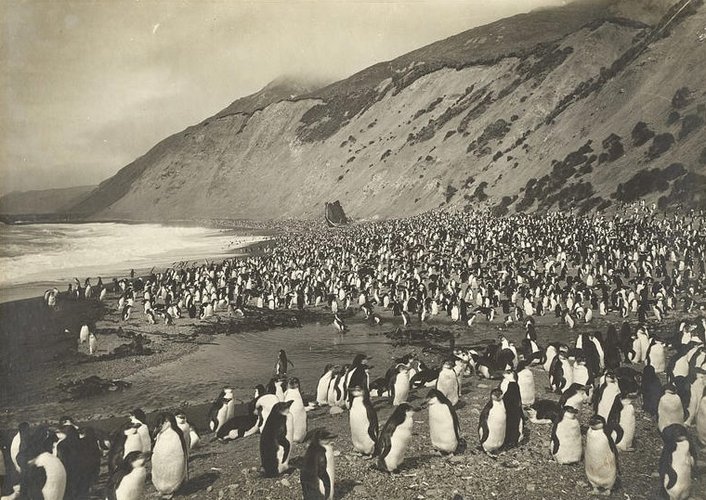 Фото: National Archives of Australia / Australian Antarctic Division