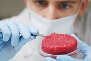 Учёные: искусственное мясо нанесёт больше вреда окружающей среде, чем обычное
