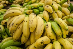 Генные инженеры спасут человечество от исчезновения бананов