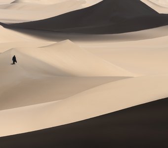 Путь бедуина