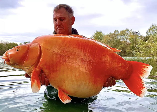 Фото: Bluewater Lakes