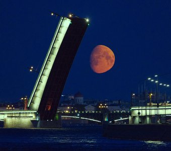 "Такая разная Луна" - 31 мая'23. Мосты в Петербурге разводят не только для кораблей, но и для проплывающей Луны.🌔
