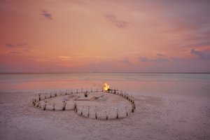 Бесконечное лето на Мальдивах: природа, романтика и экопросвет