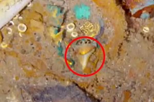На месте крушения «Титаника» нашли ожерелье с зубом мегалодона