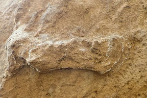 В ЮАР нашли древнейший сохранившийся след человека