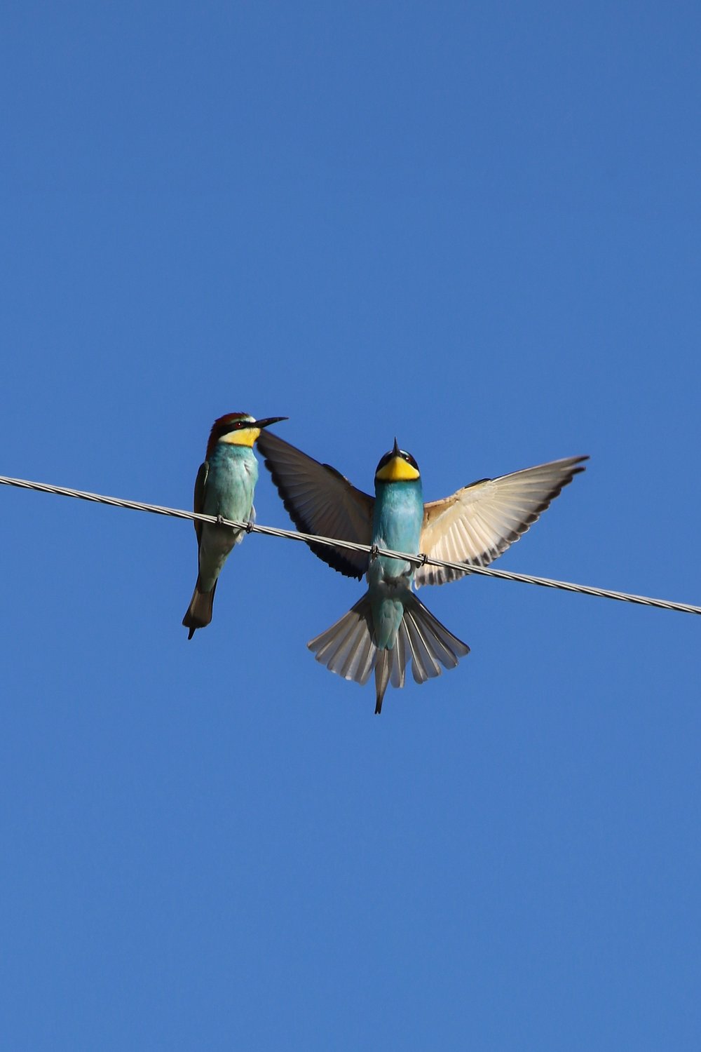 Всё для тебя!