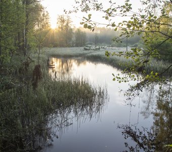 Река Шуленка