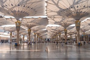Саудовская Аравия на 7 лет опередила план принять 100 миллионов туристов