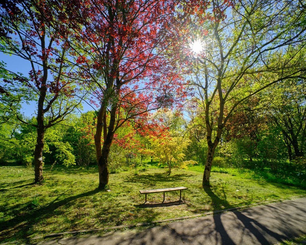 Весна в городе К. — Фото №1435226