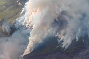 В Канаде сгорело 3,8 миллионов гектаров леса: дым от пожаров достиг Норвегии