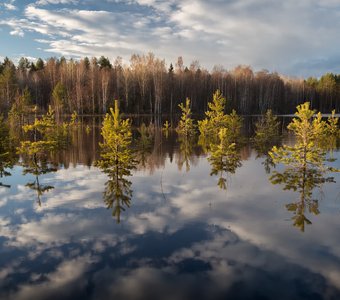 Разлив оз. Евченъярви