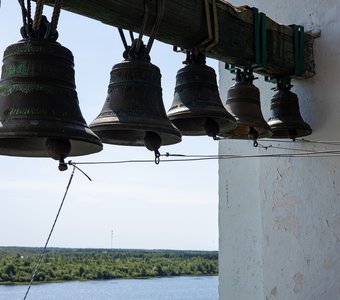 Каргополь , колокольня