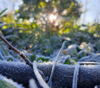 Октябрьское утро