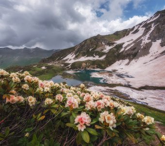 Весна в горах Кавказа