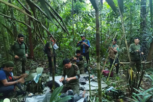 Как четверо детей 40 дней выживали в джунглях Колумбии после авиакатастрофы