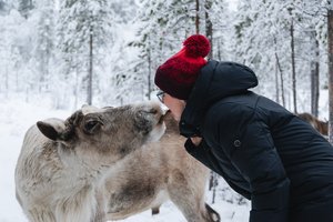 Хаски, лоси и киты: 25 мест в России, где можно поближе познакомиться с животными